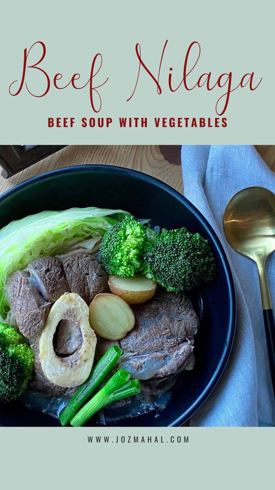 Beef Nilaga (Bulalo) Instant Pot JOZmahal