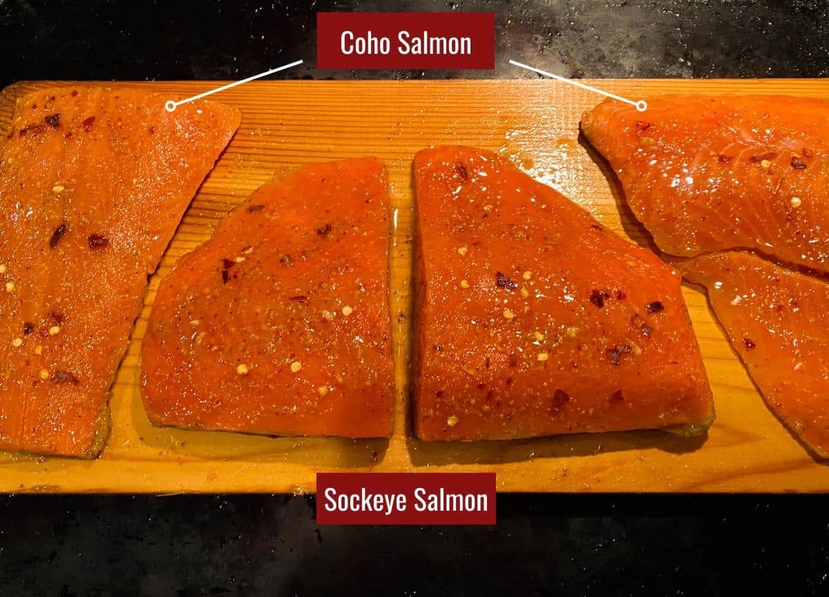Coho and Sockeye Salmon fillets on cedar planks.