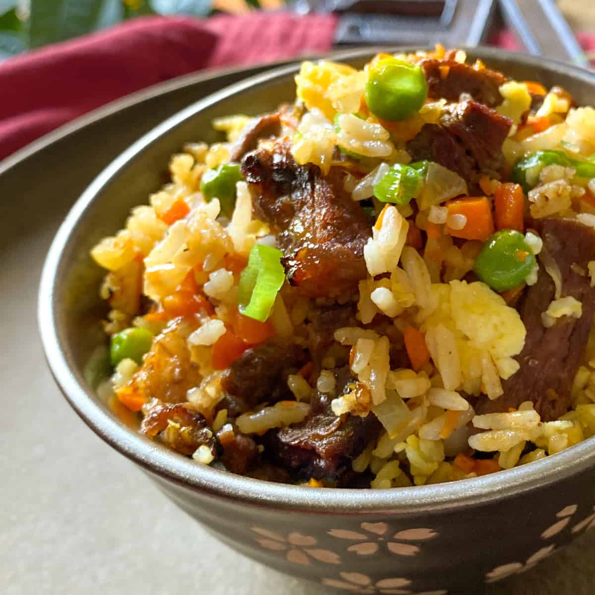 Close up of steak fried rice in a bowl.