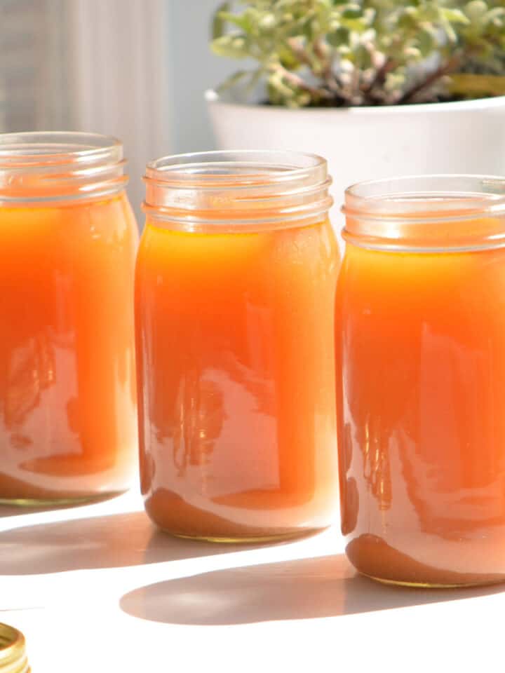 How To Make Chicken Stock Concentrate JOZmahal