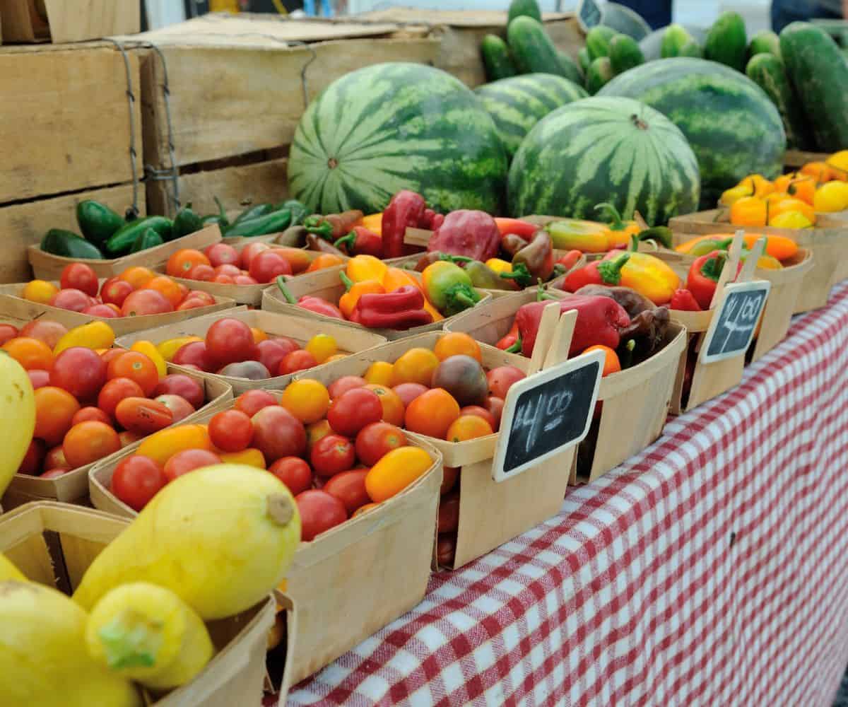 Tomatoes, squash, watermelon at a fruit stand.