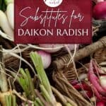 Substitutes for daikon radish.