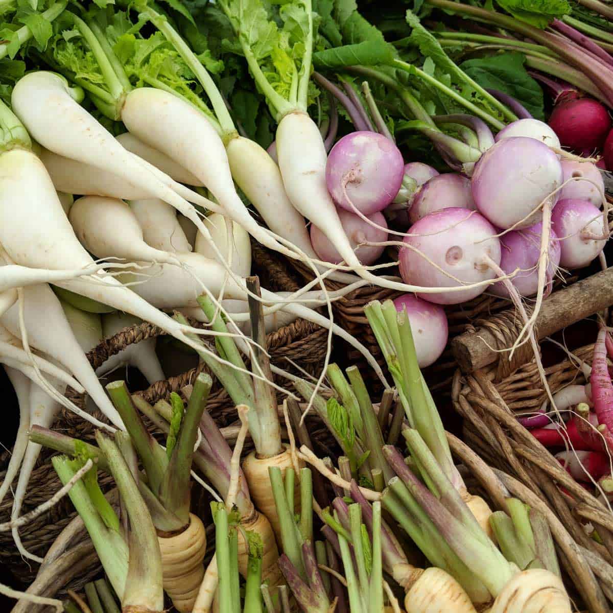 Different types of radishes in a basket.