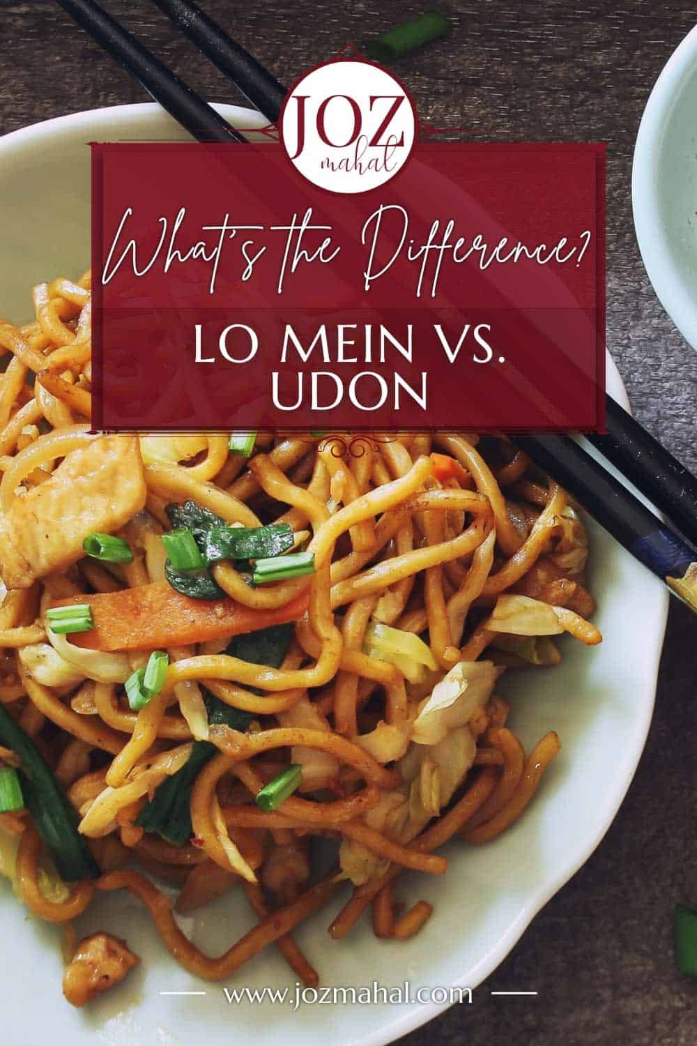 What's The Difference Between Lo Mein vs Udon Noodles JOZmahal