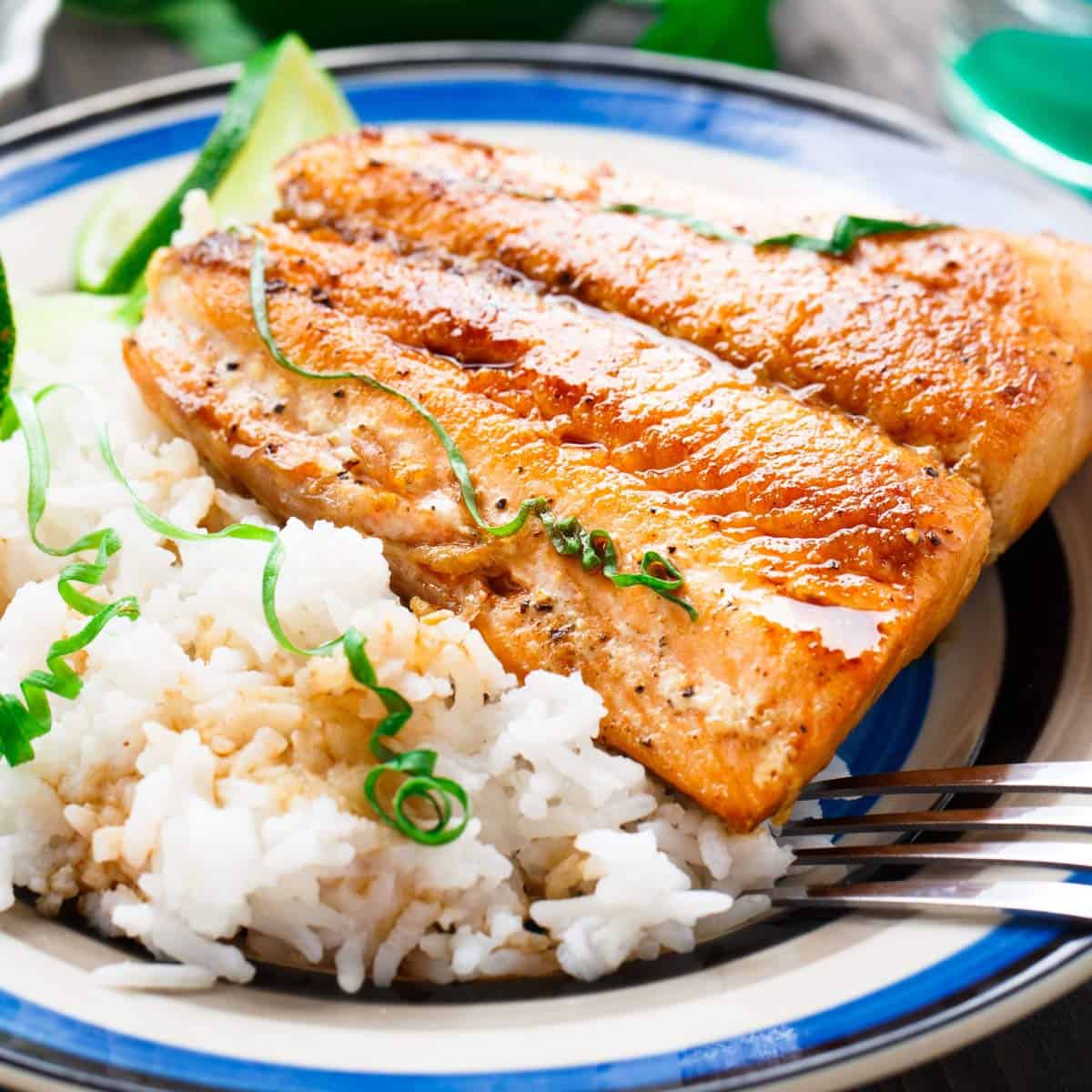 Cooked salmon with steamed white rice on a white plate.